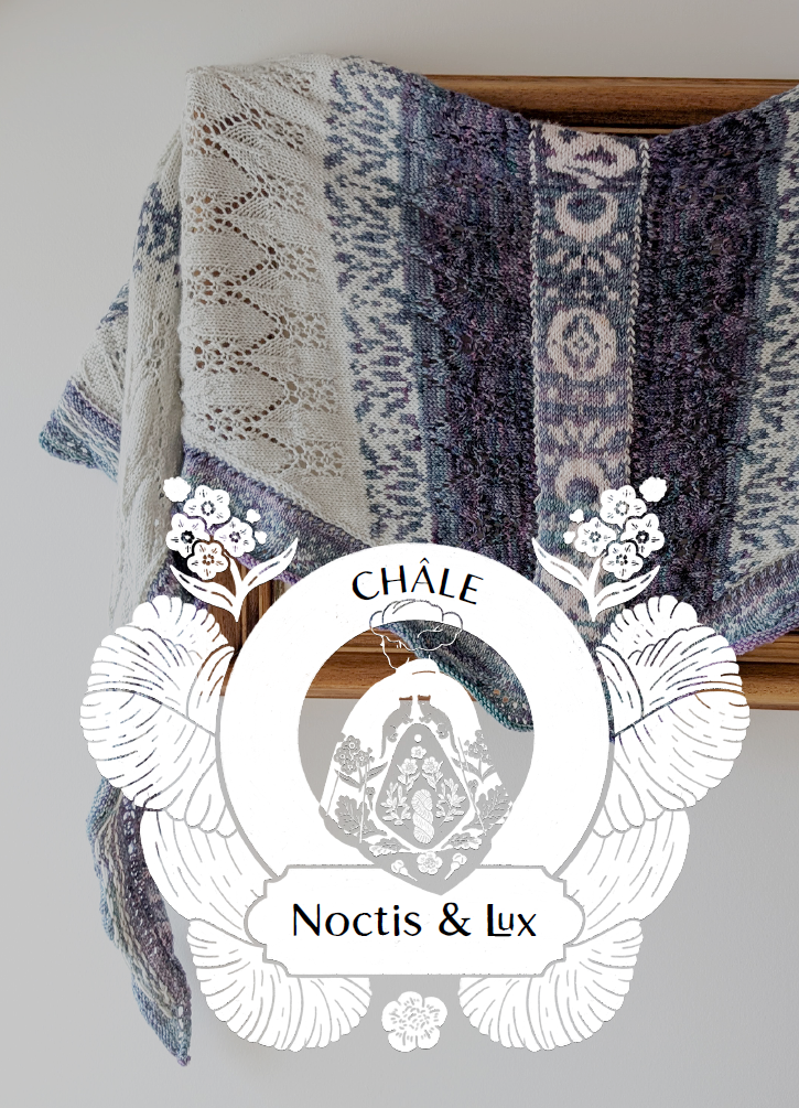 Kit châle "Noctis & Lux" Arsmirabilia • Picket & Magizoologie