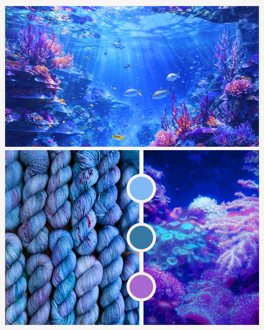 Les éphémères • Coloris Sous l'Océan