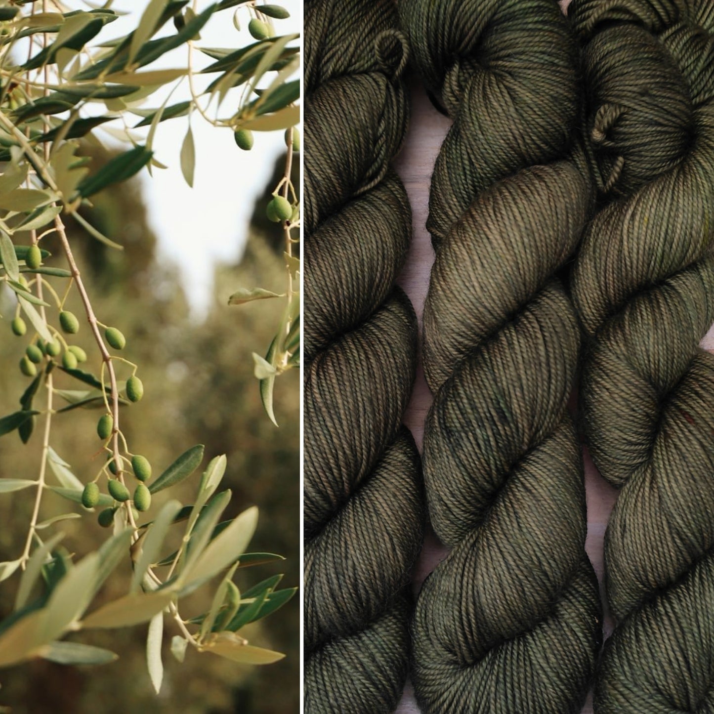 Écheveaux de laine teints à la main • Olive